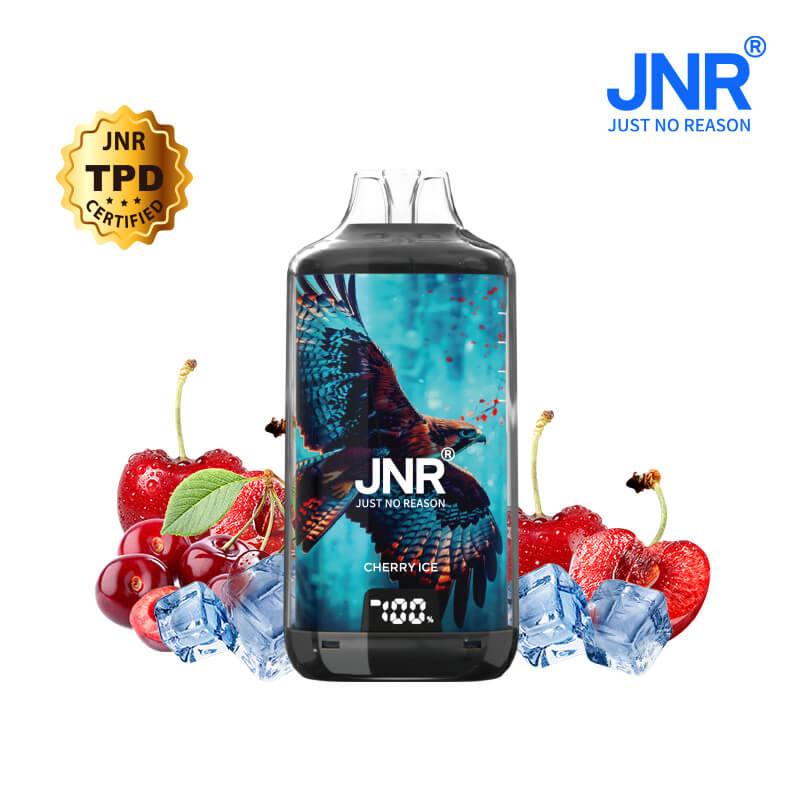 JNR FALCON X PLUS 28000 Prefilled Pod Vape Kit JNR FALCON X PLUS 28000 Prefilled Pod Vape Kit