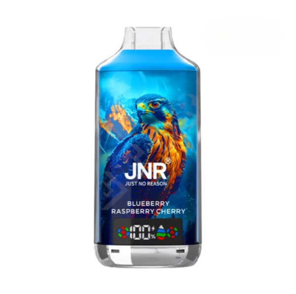 JNR Falcon X 18000 Puffs | 36+ Gout | 14,59 Prix JNR Falcon X 18000 Puffs | 36+ Gout | 14,59 Prix
