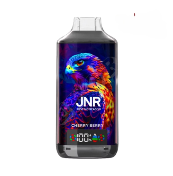 JNR Falcon X 18000 Puffs Vape Jetable (Boîte de 10)