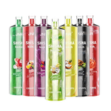 JNR Shisha Hookah 12000 Puffs Vape Jetable (Boîte de 10)