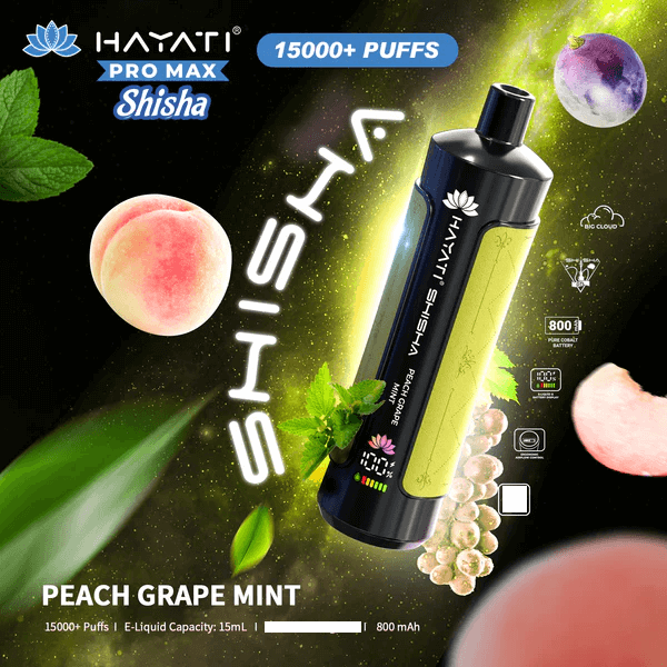 Hayati Puff Shisha 15k Vape Jetable