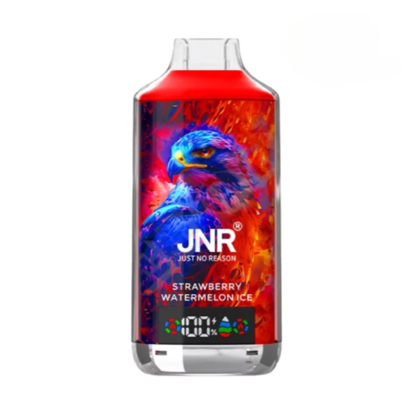 JNR Falcon X 18000 Puffs Vape Jetable (Boîte de 10)