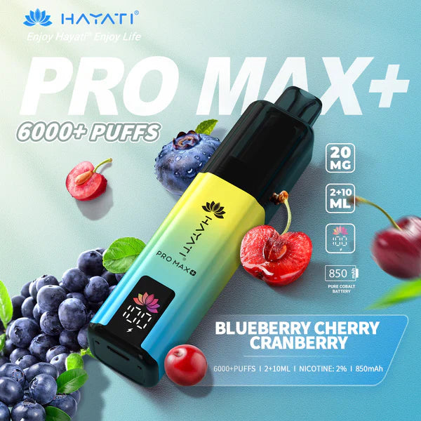 Hayat Pro Max+ 6000 Puffs Disposable Vape