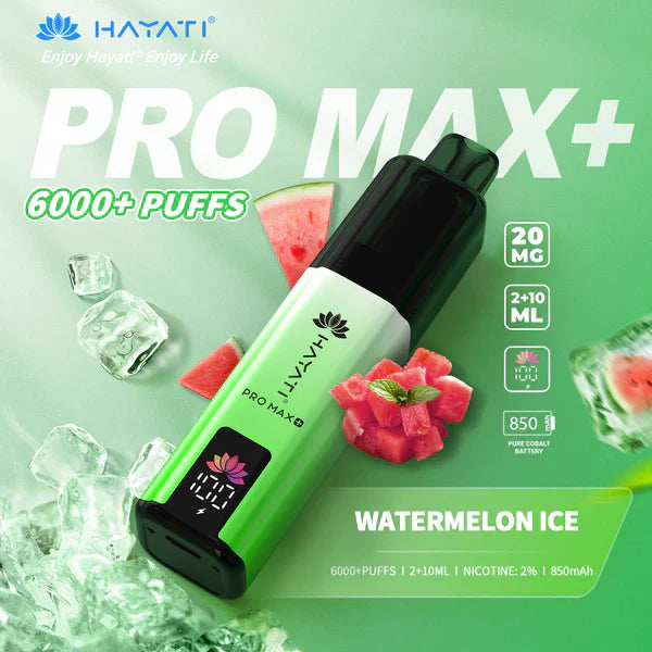 Hayat Pro Max+ 6000 Puffs Disposable Vape