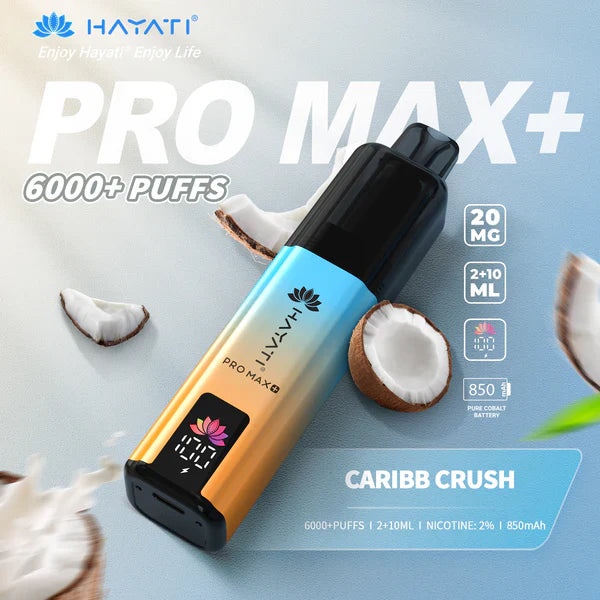 Hayat Pro Max+ 6000 Puffs Disposable Vape